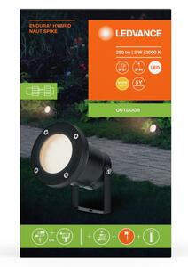 Lampă LED de exterior Ledvance NAUT SPIKE LED/2W/12V IP44