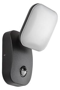 Aplică LED de exterior cu senzor Rabalux 77058 ODIEL LED/12W/230V IP44