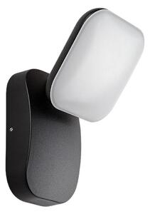Aplică LED de exterior Rabalux 77057 ODIEL LED/12W/230V IP44 negru