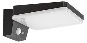 Rabalux 77078 - Lampă solară LED de perete LASSET LED/4,4W/3,7V IP54 negru