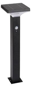 Rabalux 77045 - Lampă solară LED GELEEN LED/4W/3,7V IP44 negru