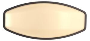 Aplică LED de exterior Deko-Light 731092 ERIDANI 13W/230V IP44 antracit