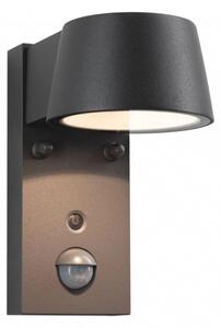 Aplică de exterior cu senzor Paulmann 94714 LED/6W IP44 CAPERA 230V