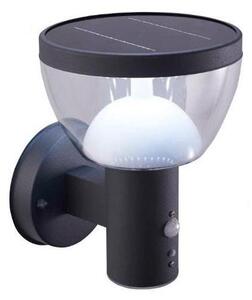 Aplică LED solară de exterior cu senzor LARIX LED/3W/3,7V IP44