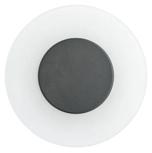Aplică de exterior Paulmann 94409 LED/4W IP44 CIRCEA 230V