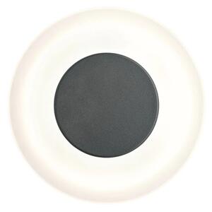 Aplică de exterior Paulmann 94409 LED/4W IP44 CIRCEA 230V