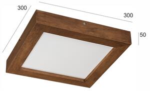 Plafonieră LED dimabilă Brilagi WOODY FRAME LED/24W/230V stejar 30x30 cm IP44 + telecomandă