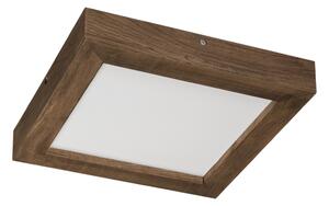 Plafonieră LED dimabilă Brilagi WOODY FRAME LED/24W/230V stejar 30x30 cm IP44 + telecomandă