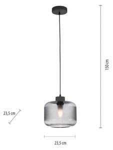 Lustră pe cablu Paul Neuhaus 2005-25 BOLETUS 1xE27/10W/230V d. 23,5 cm gri