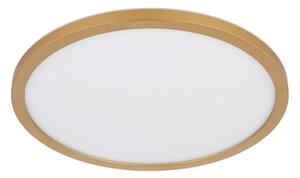 Plafonieră LED dimabilă pentru baie Globo 41562-18MM SAPANA LED/18W/230V IP44