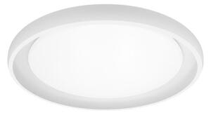 Plafonieră LED dimabilă Top Light SALERNO LED/60W/230V 3000-6500K alb + telecomandă