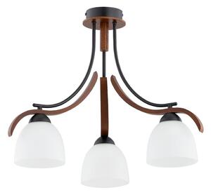 Lustră aplicată BAFIA 3xE27/15W/230V maro