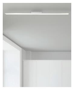 Panou LED dimabil Brilliant CHARLA LED/22W/230V 7x120 cm 3000K