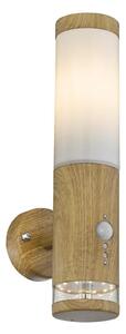 Aplică de exterior cu senzor JAICY 1xE27/15W/230V IP44 Globo 34070S