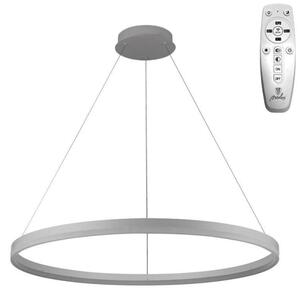Brilagi - Lustră LED reglabilă pe cablu CIRCLE LED/55W/230V 3000-6500K argintiu + telecomandă