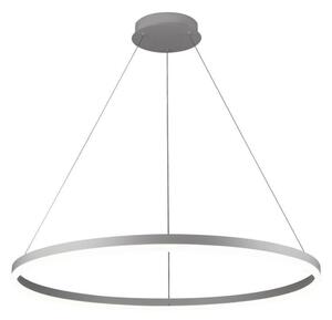 Brilagi - Lustră LED reglabilă pe cablu CIRCLE LED/55W/230V 3000-6500K argintiu + telecomandă