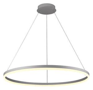 Brilagi - Lustră LED dimabilă suspendată pe cablu CIRCLE LED/55W/230V 3000-6500K argintiu + telecomandă