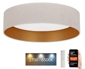 Plafonieră LED dimabilă Brilagi VELVET SMART LED/24W/230V Wi-Fi Tuya + telecomandă