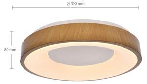 Plafonieră LED dimabilă DORIA LED/48W/230V 3000-6500K + telecomandă