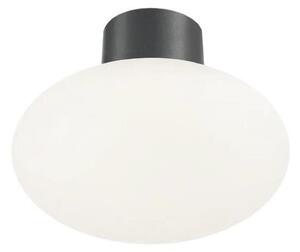 Ideal Lux - Plafonier exterior CLIO 1xE27/42W/230V IP44 antracit