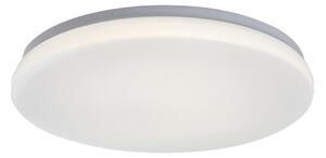 Rabalux 77140 - Plafonieră LED pentru baie LOWAR, cu senzor, 24W/230V, 4000K, IP44