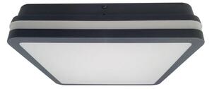 Plafonieră LED pentru baie ELLÉ LED/24W/230V 3000/4000/6500K 26x26 cm IP54 antracit