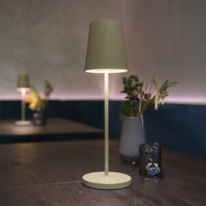 SLV Lampa cu baterie LED Vinolina Two, verde, aluminiu, Ø 11 cm, IP65, reglabil, Verde, Aluminiu, Modern