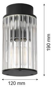 Plafonieră de exterior Argon 8773 NORFOLK 1xE27/15W/230V IP44 negru