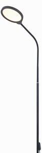 Lampadar LED dimabil 2 în 1 LED/10W/230V 3000-4500-6500K negru
