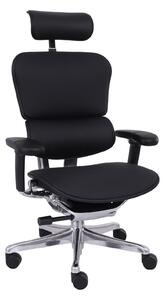 Scaun de birou Ergohuman 2 Elite LE01