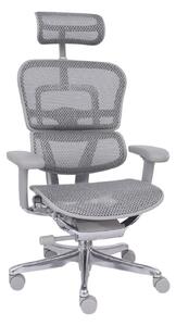 Scaun de birou Ergohuman 2 Elite GS Grey