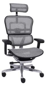 Scaun de birou Ergohuman 2 Elite BS Grey