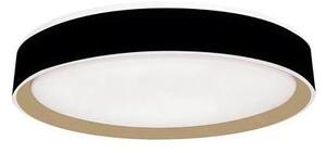 Plafonieră LED dimabilă cu control vocal OPAL LED/48W/230V + telecomandă