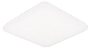 Plafonieră LED dimabilă OPAL LED/48W/230V Wi-Fi Tuya + telecomandă