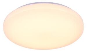 Plafonieră LED dimabilă OPAL LED/48W/230V Wi-Fi Tuya + telecomandă