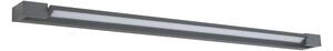 Brilagi-LED Lumină LED pentru oglindă de baie AQUA LINE, 36 W, 230 V, 120 cm, IP44, antracit