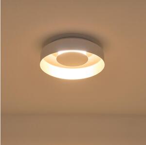 Plafonieră LED/20W/230V 3000K alb