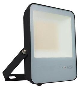 Proiector LED/30W/230V 6400K IP65 negru