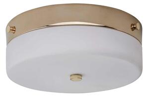 Plafonieră LED pentru baie Elstead TAMAR-F-M-PG TAMAR 1xGX53/5,7W/230V IP44
