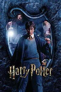 Poster de artă Harry Potter