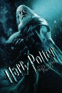 Poster de artă Harry Potter - Albus Dumbledore
