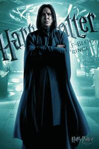 Poster de artă Harry Potter - Severus Snape