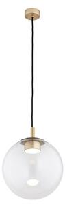 Lustră pe cablu Argon 8828 SACRAMENTO 1xGX53/8W/230V transparent/auriu