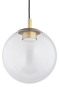 Lustră pe cablu Argon 8828 SACRAMENTO 1xGX53/8W/230V transparent/auriu