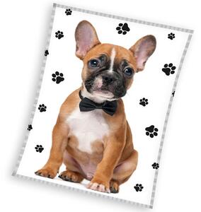 Pătură Bulldog francez elegant, 130 x 170 cm