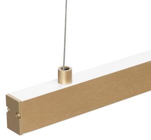 Lustră LED pe cablu Argon 8836 MIAMI LED/37W/230V 3000K auriu