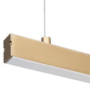 Lustră LED pe cablu Argon 8836 MIAMI LED/37W/230V 3000K auriu