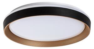 Plafonieră LED dimabilă Rabalux 71308 LADAN LED/48W/230V 3000-6500K + telecomandă