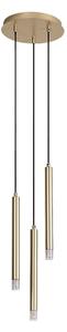 Lustră pe cablu Rabalux 72359 RAMIRA 3xG9/5W/230V auriu
