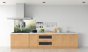 Panou sticlă decorativa bucătărie tigru alb